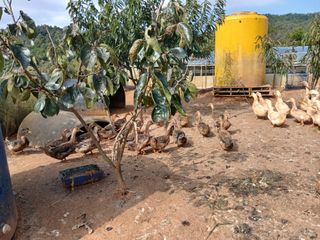 상민님의 자유주제 · 자유게시판 작성글 사진