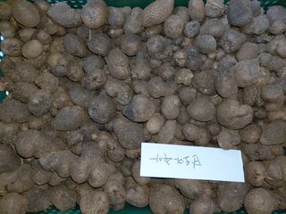 정보센터님의 작성글 사진