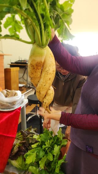 조한솔님의 자유주제 · 자유게시판 작성글 사진