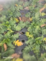 소병찬님의 자유주제·자유게시판 작성글 사진