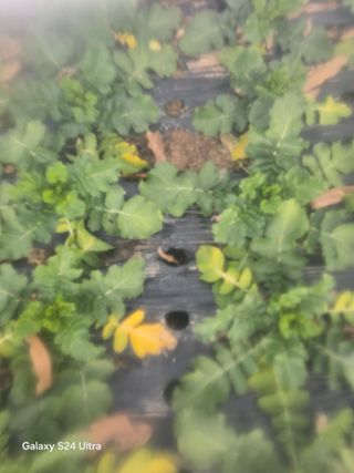 소병찬님의 자유주제 · 자유게시판 작성글 사진