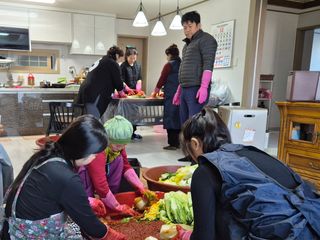 덕포킴님의 배추 · 영농일지 작성글 사진