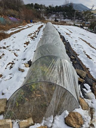 소병찬님의 자유주제 · 자유게시판 작성글 사진