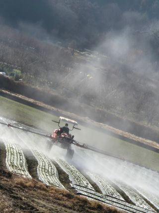 서해숙님의 자유주제 · 자유게시판 작성글 사진
