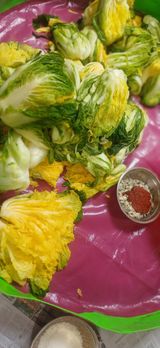 팜모닝 자유주제·자유게시판 게시글 이미지