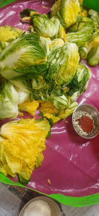 초보퍼머5도2촌준비님의 자유주제 · 자유게시판 작성글 사진