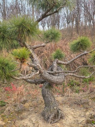 알 수 없음님의 자유주제 · 사진전 작성글 사진
