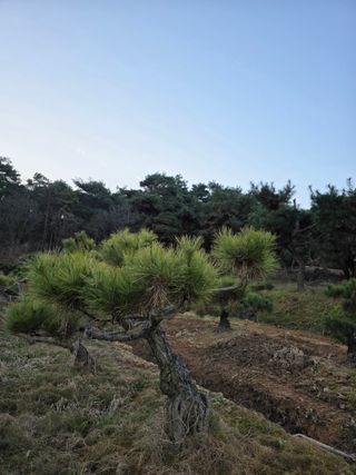 작은소나무님의 자유주제 · 사진전 작성글 사진