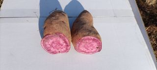 산들농장님의 작성글 사진