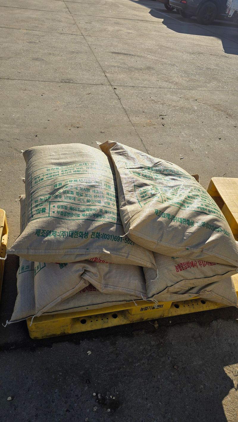 아하킴님의 장터 판매 상품 [서리태 콩(새바람) 25년 햇 콩 팝니다.] 첨부 사진