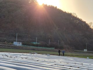 서해숙님의 자유주제 · 자유게시판 작성글 사진