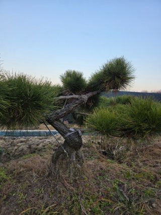 작은소나무님의 자유주제 · 사진전 작성글 사진