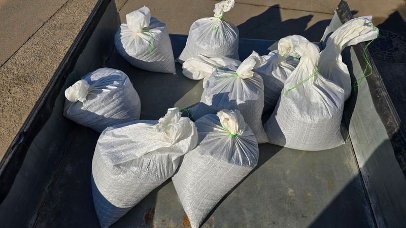 아하킴님의 장터 판매 상품 [서리태 콩(새바람) 25년 햇 콩 팝니다.] 첨부 사진