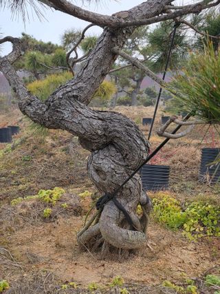 작은소나무님의 자유주제 · 사진전 작성글 사진