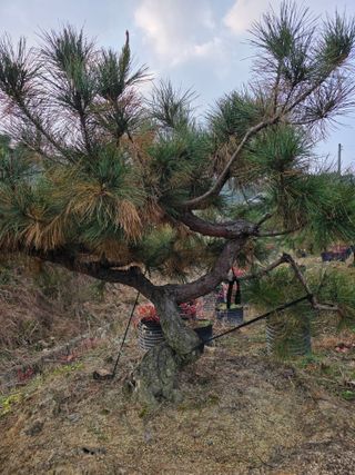 알 수 없음님의 자유주제 · 사진전 작성글 사진