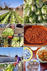 팜모닝 자유주제·자유게시판 게시글 이미지