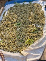 팜모닝 · 게시글 이미지