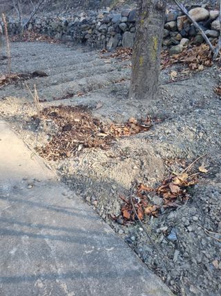 김용대님의 자유주제 · 자유게시판 작성글 사진