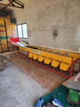 팜모닝 자유주제·자유게시판 게시글 이미지