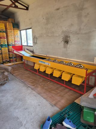 서귀포달코롬감귤농원님의 자유주제 · 자유게시판 작성글 사진