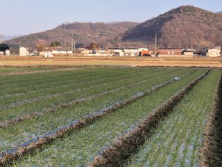 서해숙님의 자유주제 · 자유게시판 작성글 사진