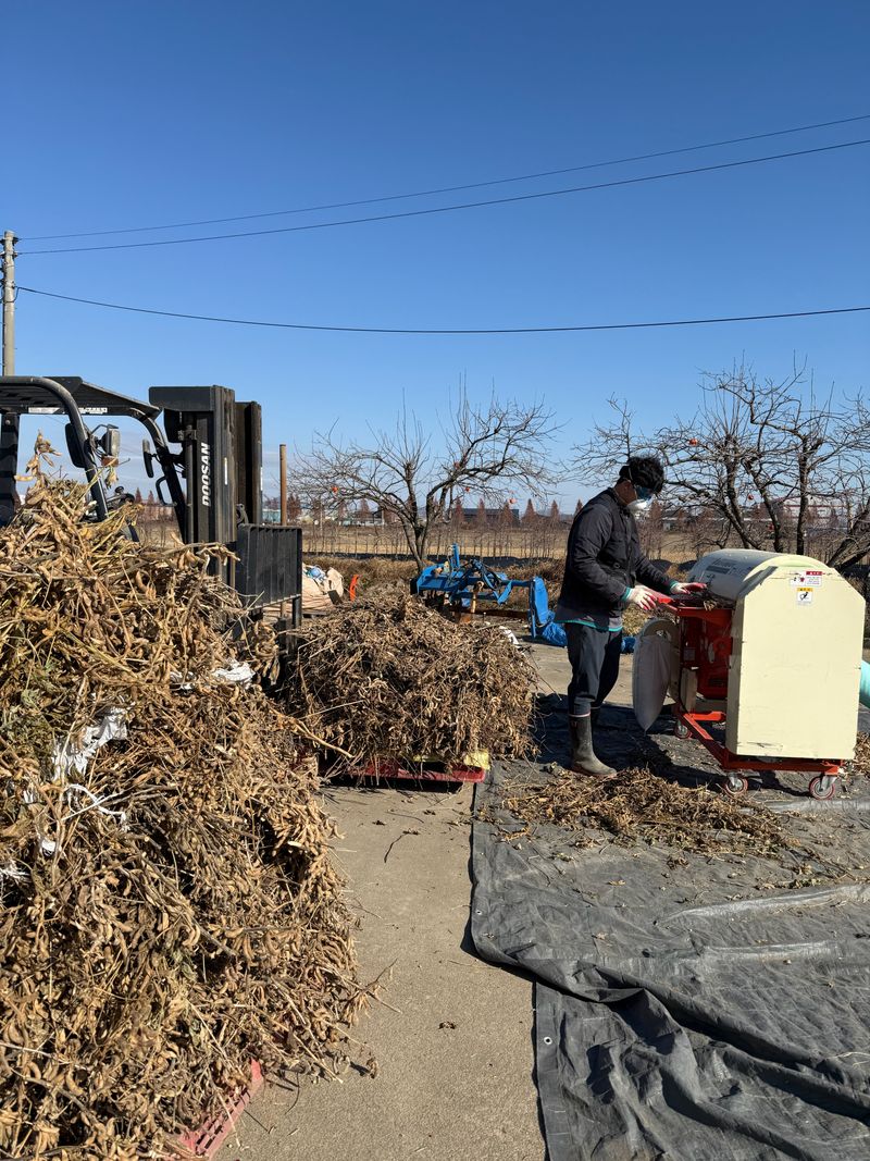 이설희순님의 장터 판매 상품 [2025년 햇콩 서리태1kg] 첨부 사진