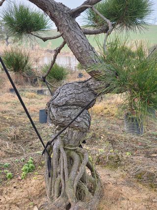 작은소나무님의 자유주제 · 사진전 작성글 사진