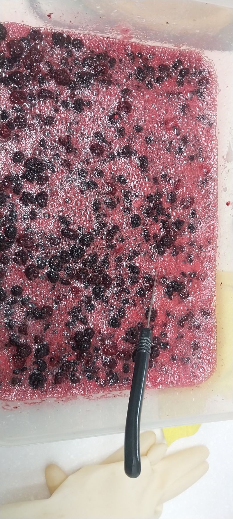 장터 상품 [복분자 청] 썸네일