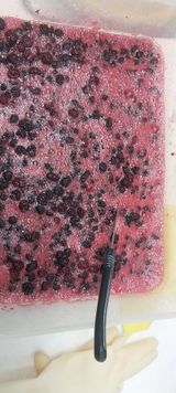 팜모닝 · 게시글 이미지