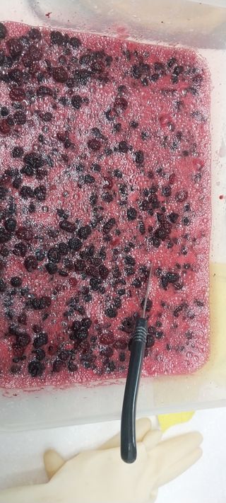 아로대추님의 작성글 사진