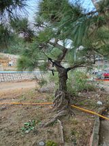 팜모닝 자유주제·사진전 게시글 이미지