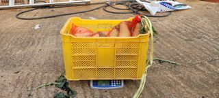 김동제님의 자유주제 · 자유게시판 작성글 사진