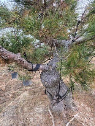 작은소나무님의 자유주제 · 사진전 작성글 사진