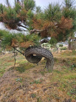 알 수 없음님의 자유주제 · 사진전 작성글 사진