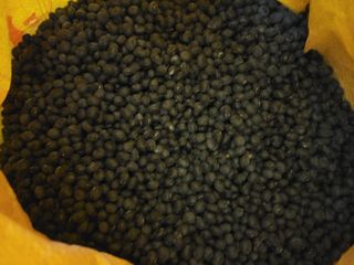 김종옥님의 작성글 사진