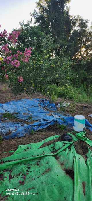 이응철님의 작성글 사진