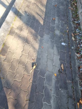 김용대님의 자유주제 · 자유게시판 작성글 사진