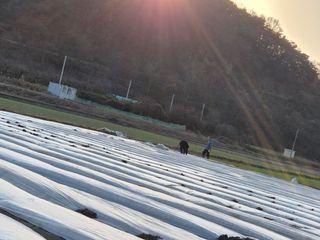 서해숙님의 자유주제 · 자유게시판 작성글 사진