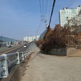 팜모닝 자유주제·자유게시판 게시글 이미지