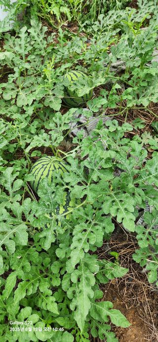 이응철님의 작성글 사진