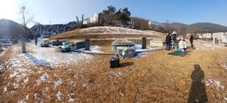 인생은 소풍처럼님의 자유주제 · 자유게시판 작성글 사진