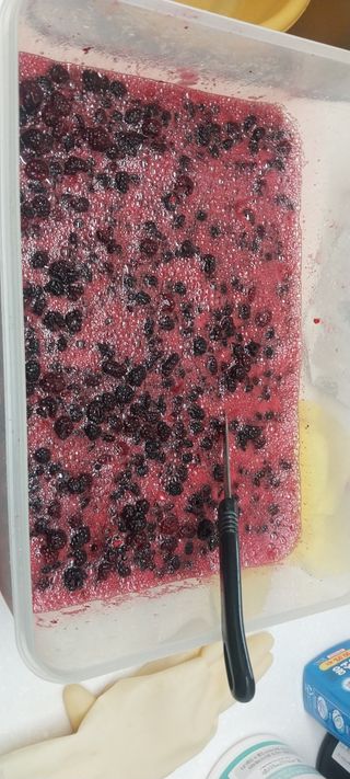 아로대추님의 작성글 사진