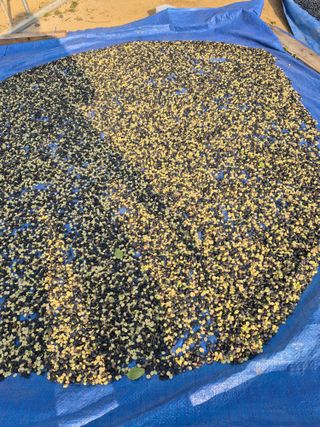 농부님.모두.모두힘님의 작성글 사진