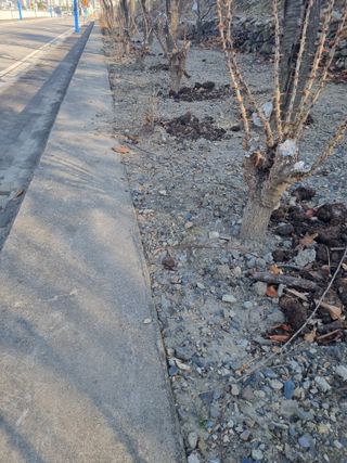 김용대님의 자유주제 · 자유게시판 작성글 사진