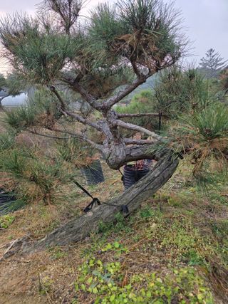 알 수 없음님의 자유주제 · 사진전 작성글 사진