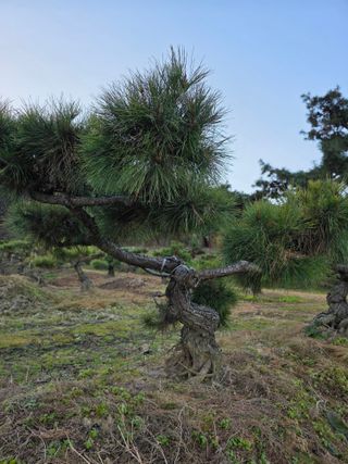 작은소나무님의 자유주제 · 사진전 작성글 사진