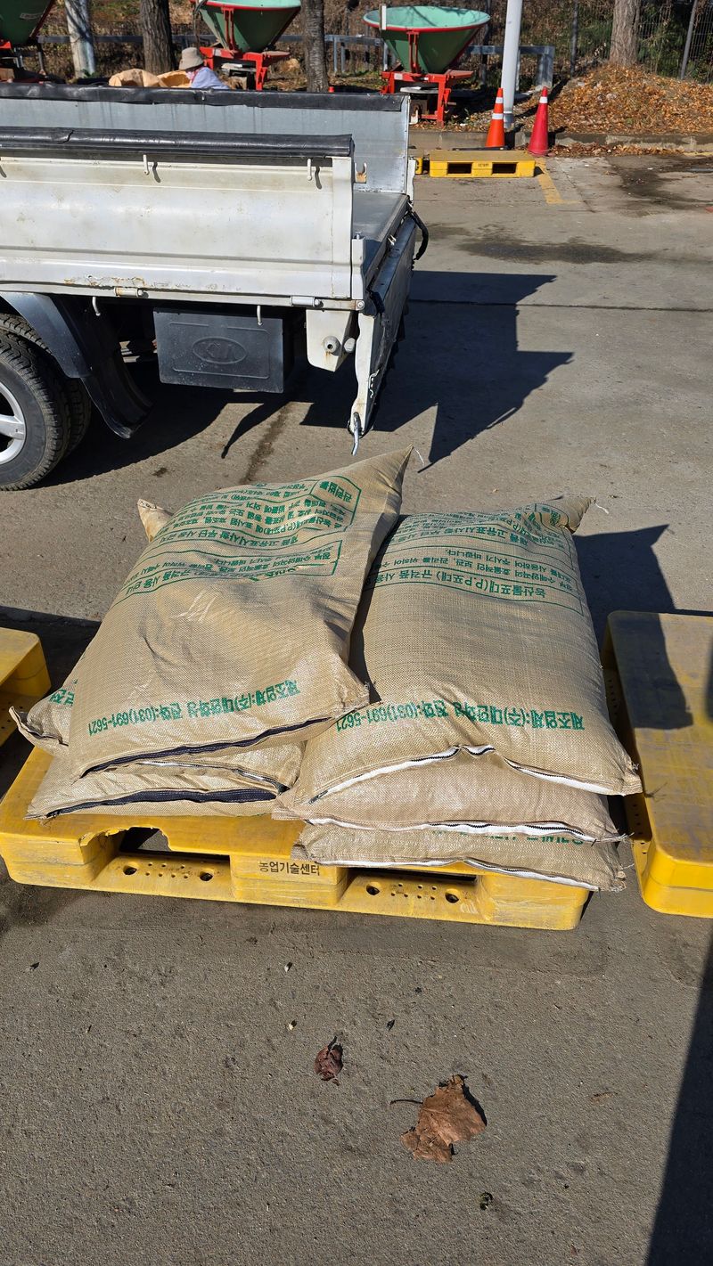 아하킴님의 장터 판매 상품 [서리태 콩(새바람) 25년 햇 콩 팝니다.] 첨부 사진