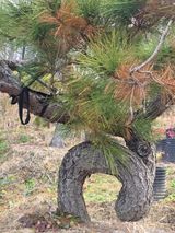 팜모닝 자유주제·사진전 게시글 이미지