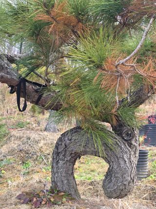 알 수 없음님의 자유주제 · 사진전 작성글 사진