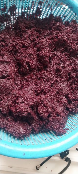 아로대추님의 작성글 사진